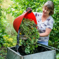 Garden Plant Care: A Step-by-Step Guide