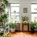 Types of Indoor Plants: A Comprehensive Look