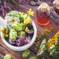 The Benefits of Herbal Medicine