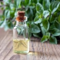 Essential Oils: Exploring the Medicinal Properties of Plants