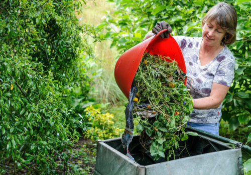 Garden Plant Care: A Step-by-Step Guide