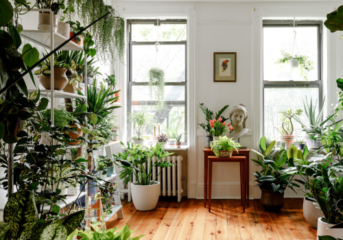 Types of Indoor Plants: A Comprehensive Look