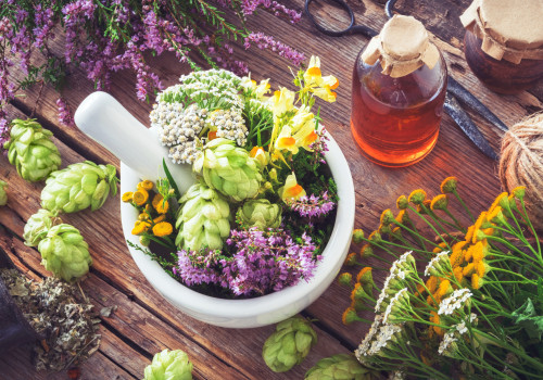 The Benefits of Herbal Medicine